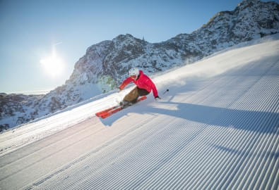 Tiroler skischule